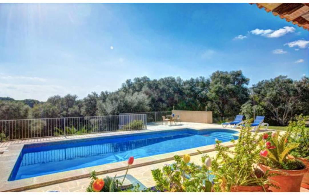 Villa Rito Nou Felanitx Exterior photo
